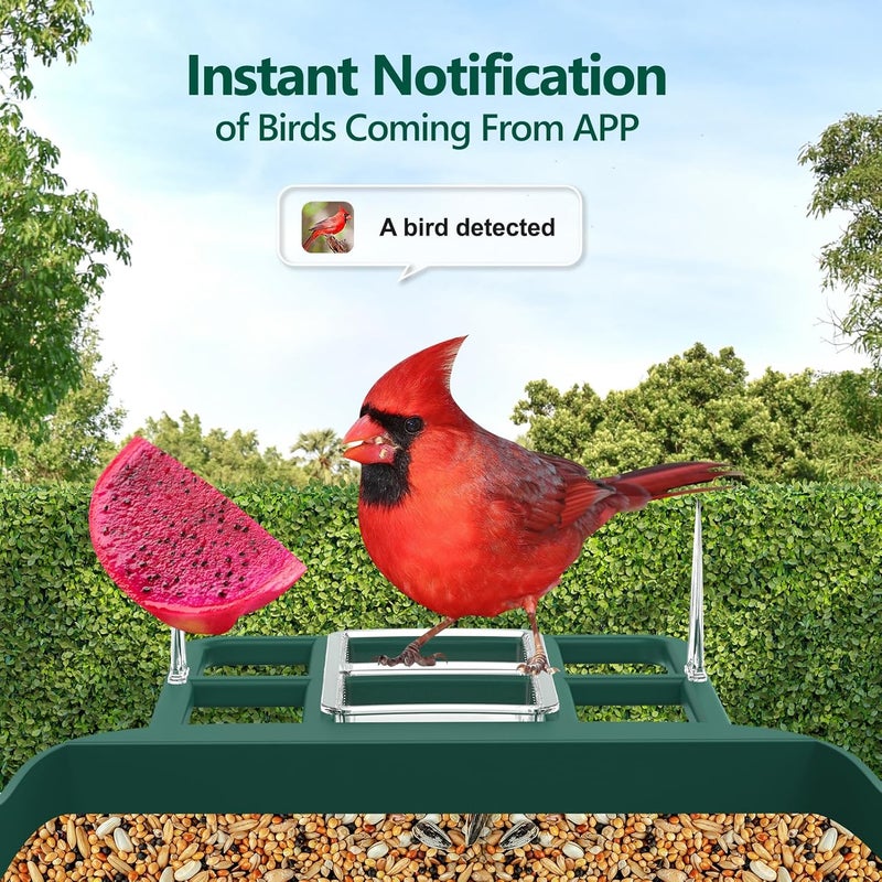 Vatjubi Bird Feeder with Camera,2K Live View,WiFi Smart Bird House with Cam Solar Powered for Outdoor,Night Vision,AI Identify,Auto Record Video,Real-Time App Alerts,Birdwatching Gifts for Family,Birds Lover - Image 3